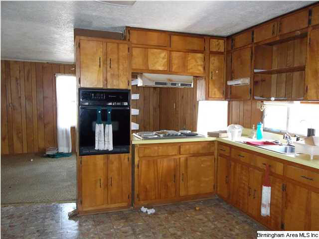 1554 Bluff Valley Road Cragford, AL 36255 - Photo 2 of 5