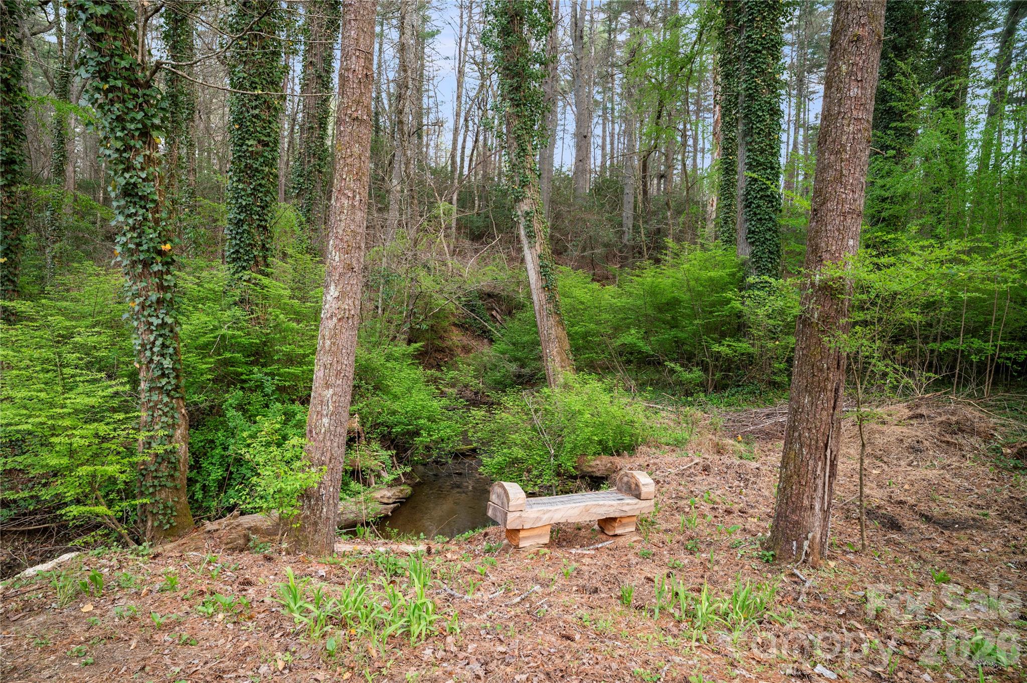 3002 Kanuga Road Hendersonville, NC 28739 - Photo 18 of 48
