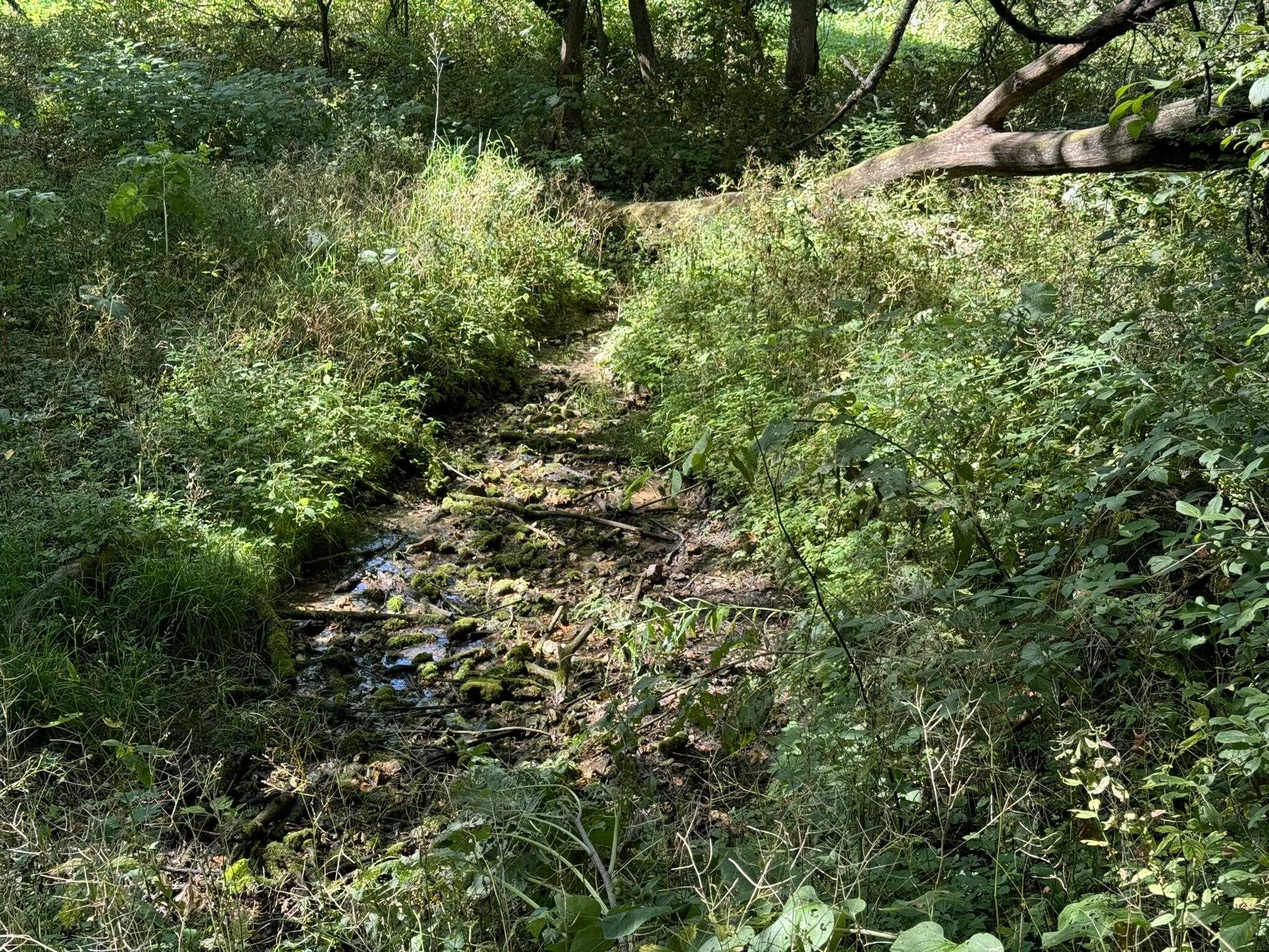 Lot 10 Murphy Road Mineral Point, WI 53565 - Photo 12 of 12