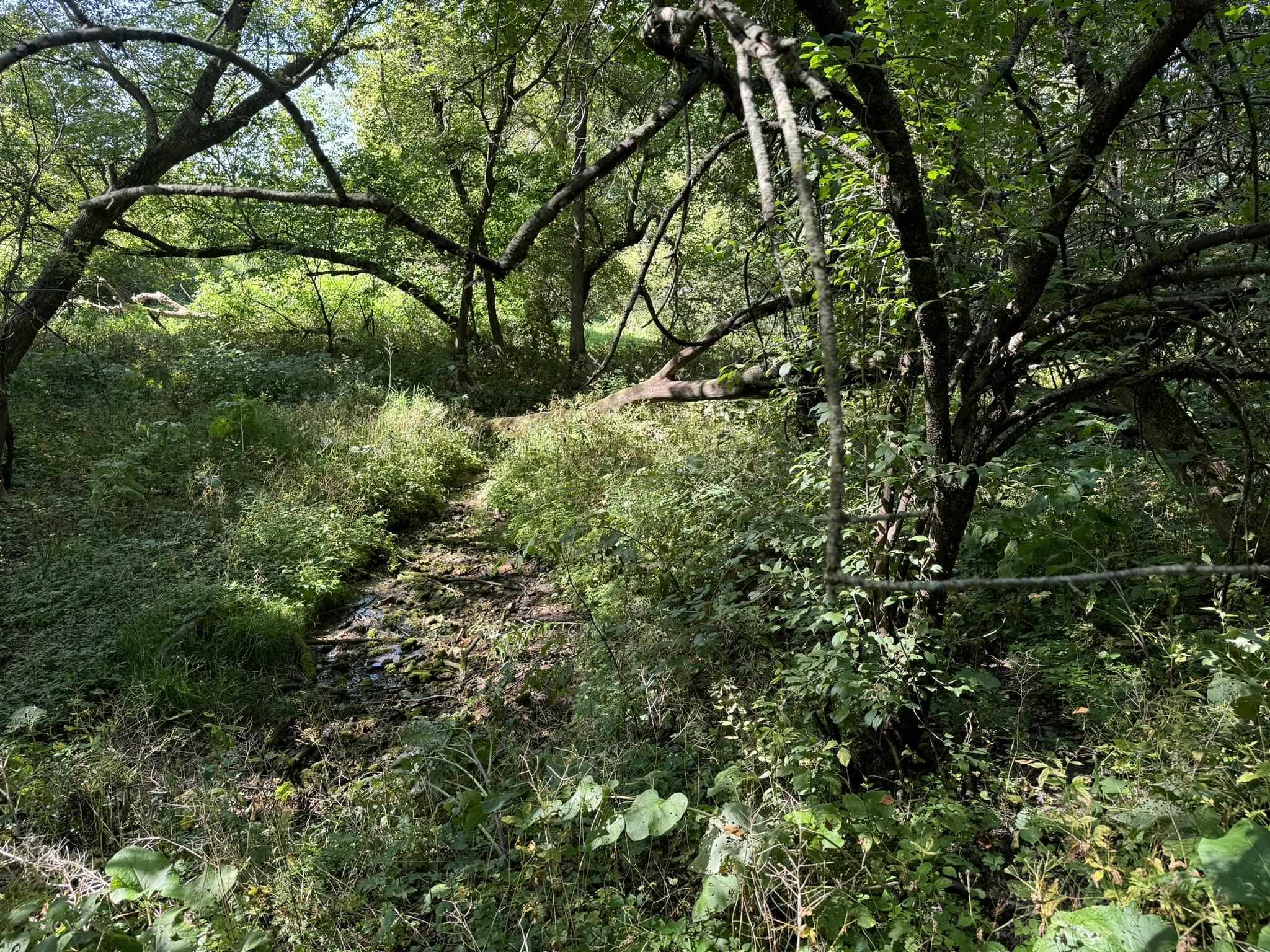 Lot 10 Murphy Road Mineral Point, WI 53565 - Photo 7 of 12