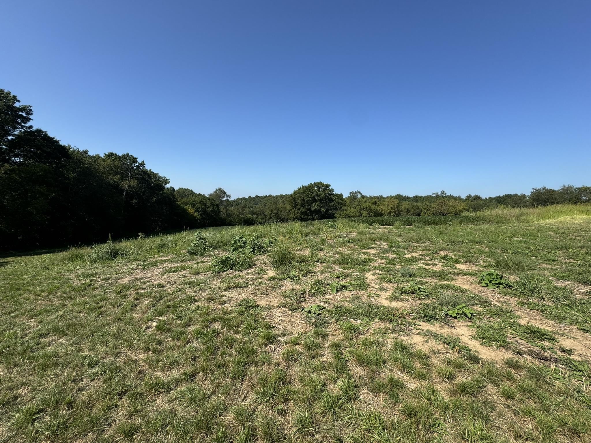 Lot 10 Murphy Road Mineral Point, WI 53565 - Photo 8 of 12