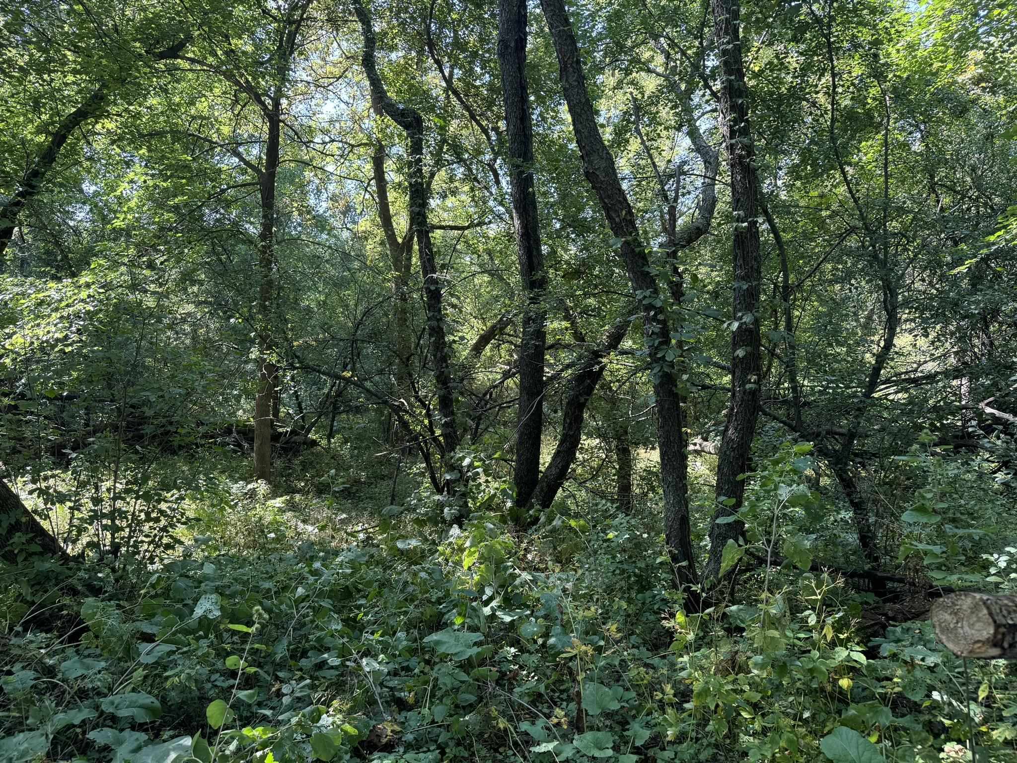 Lot 10 Murphy Road Mineral Point, WI 53565 - Photo 10 of 12