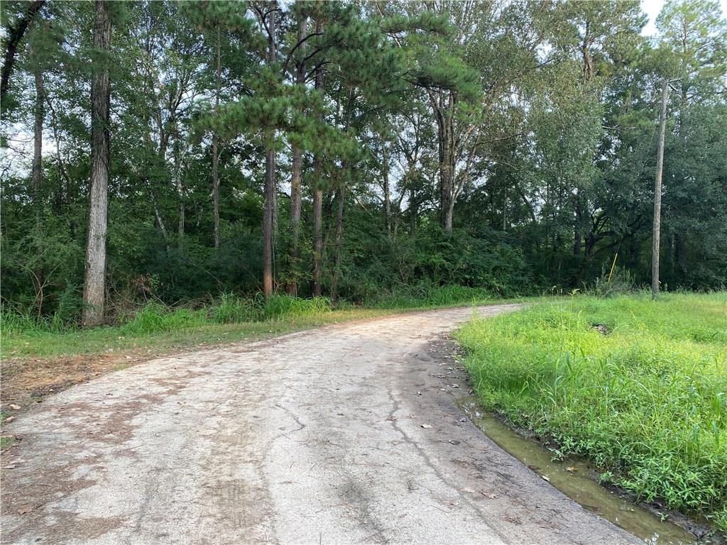 Jb-2 B George White Road Holden, LA 70744 - Photo 2 of 9