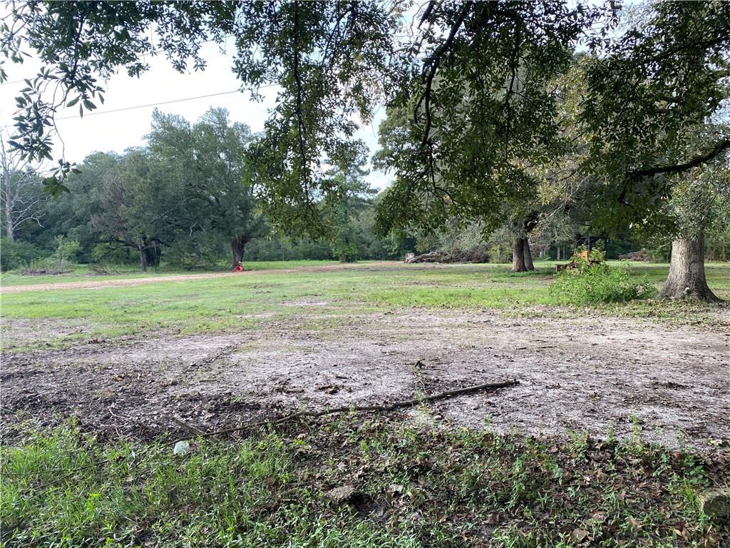 Jb-2 B George White Road Holden, LA 70744 - Photo 4 of 9