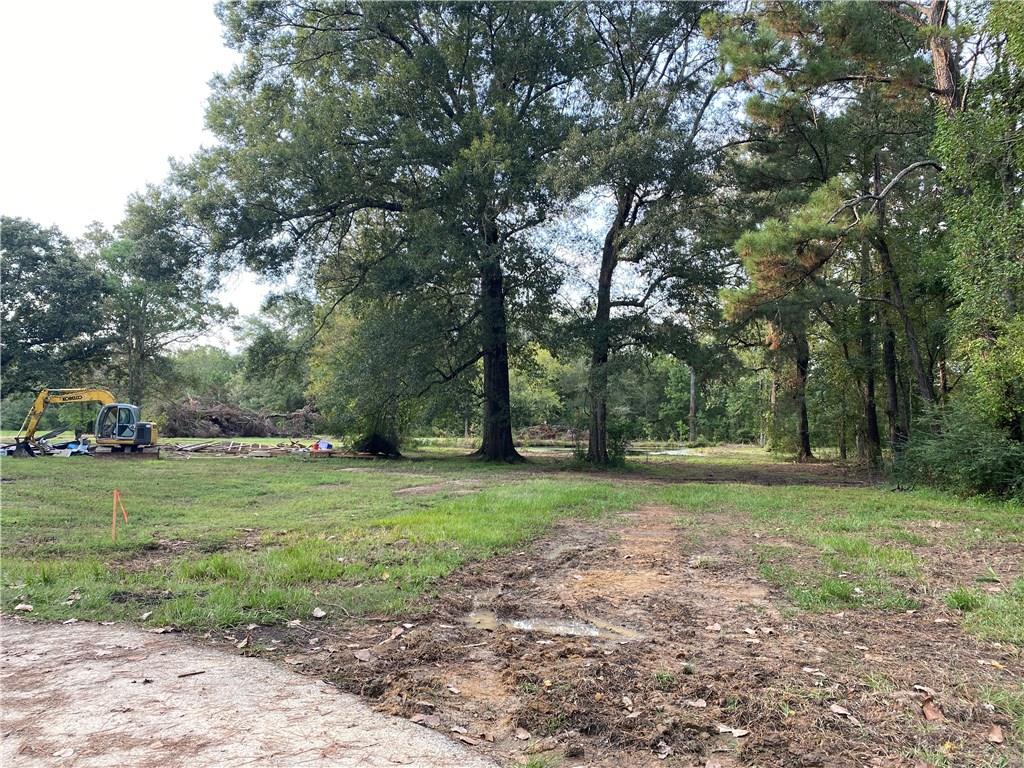 Jb-2 B George White Road Holden, LA 70744 - Photo 7 of 9