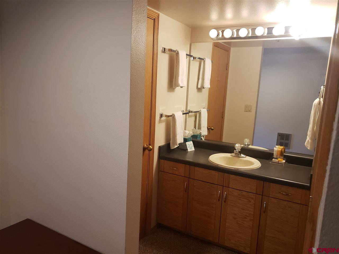 71 Needles Way, Unit 232 Durango, CO 81301 - Photo 8 of 14 Gallery Image 8