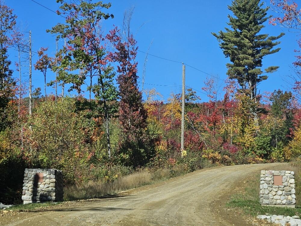 Lot 9 East Moose Alley Road Temple, ME 04984 - Photo 10 of 46