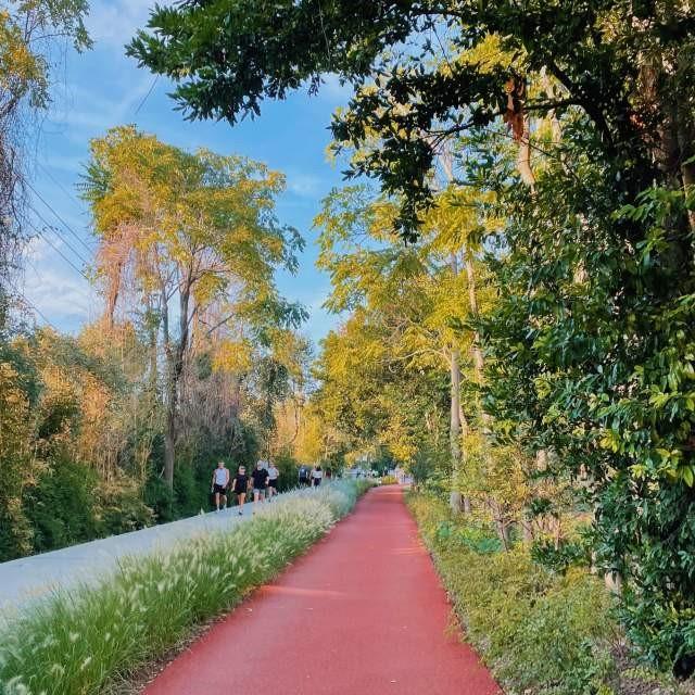 5200 Martel Avenue, Unit 6Q Dallas, TX 75206 - Photo 28 of 32 a view of a pathway both side of garden