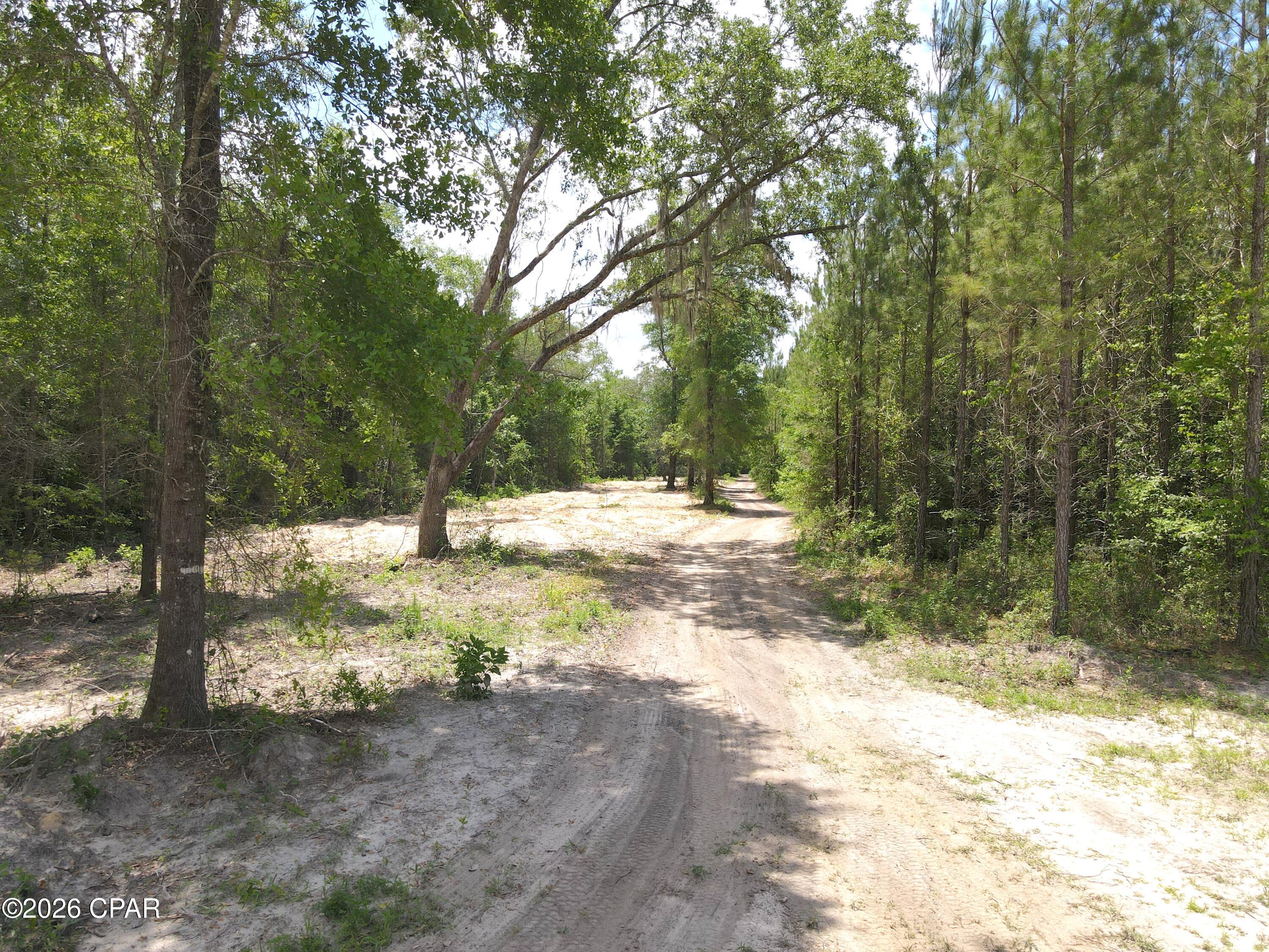 0 Autumn Road Malone, FL 32445 - Photo 52 of 58