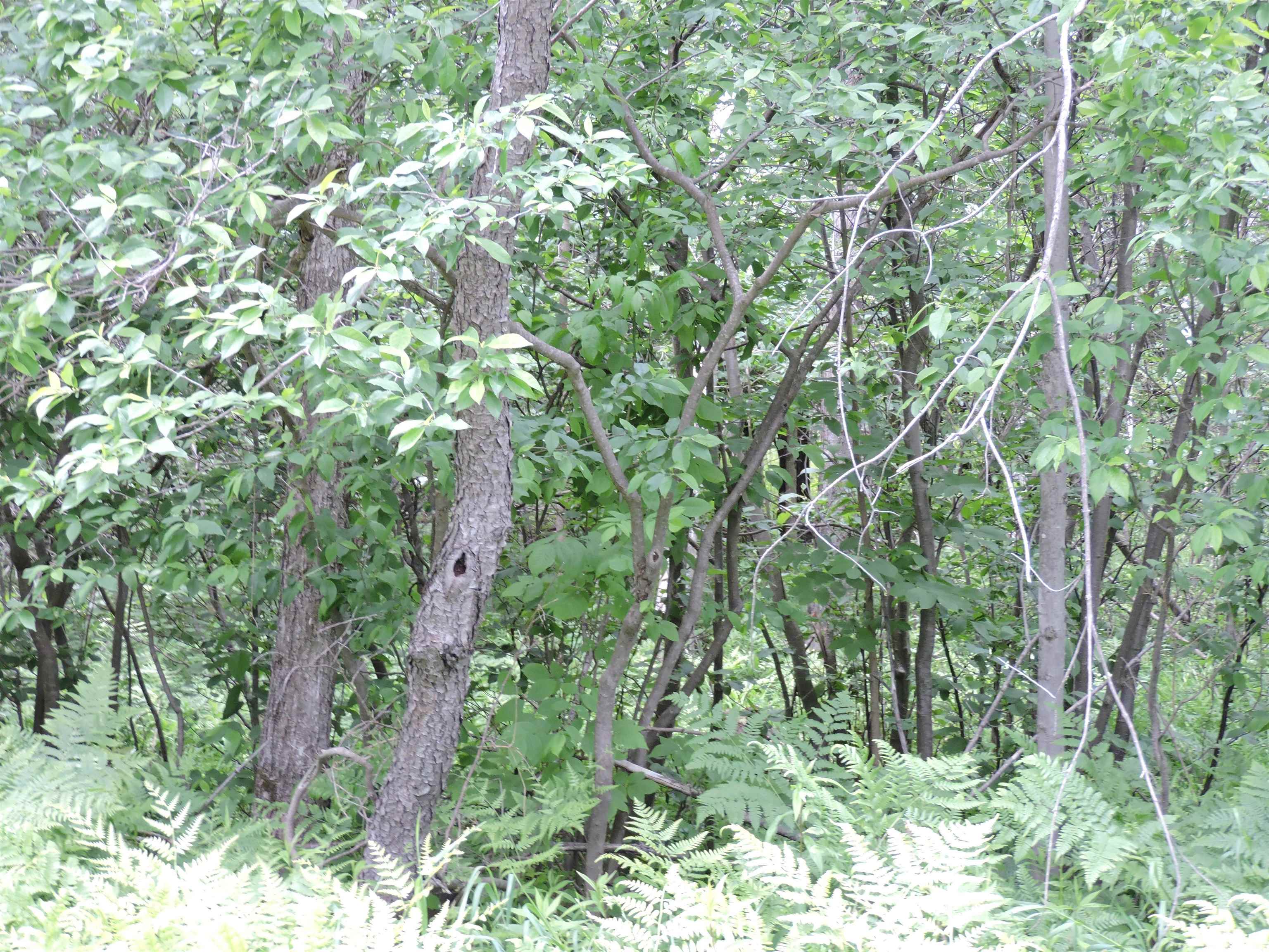 6686 Keystone Road Turner, MI 48765 - Photo 25 of 30