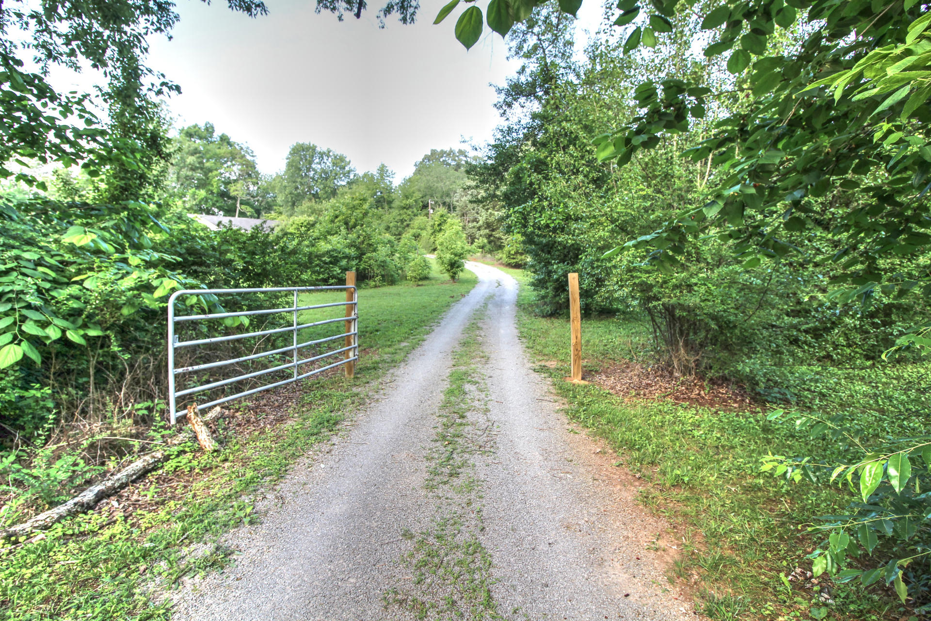 6025 Maloneyville Road Corryton, TN 37721 - Photo 2 of 24 front gate
