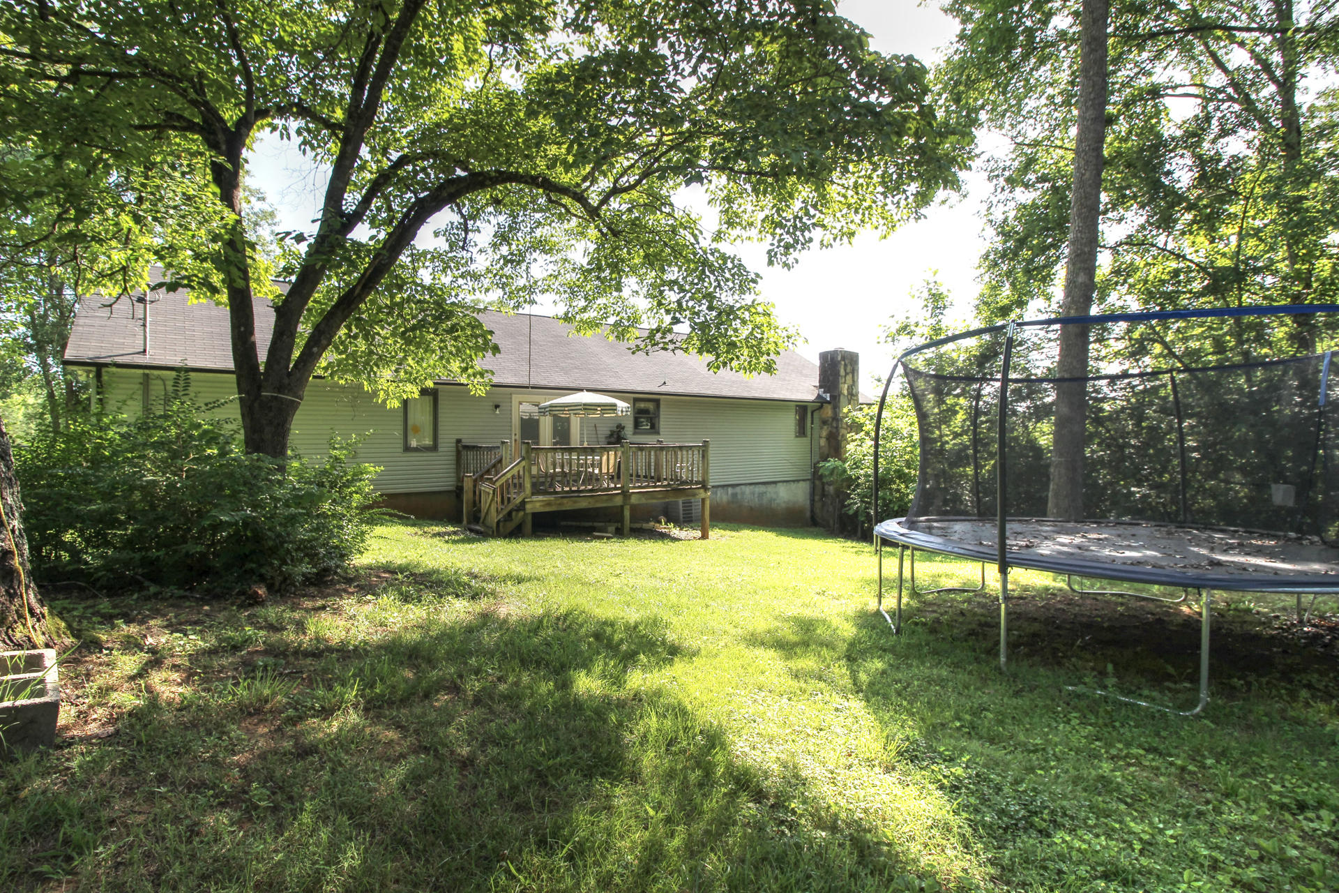 6025 Maloneyville Road Corryton, TN 37721 - Photo 22 of 24 backyard