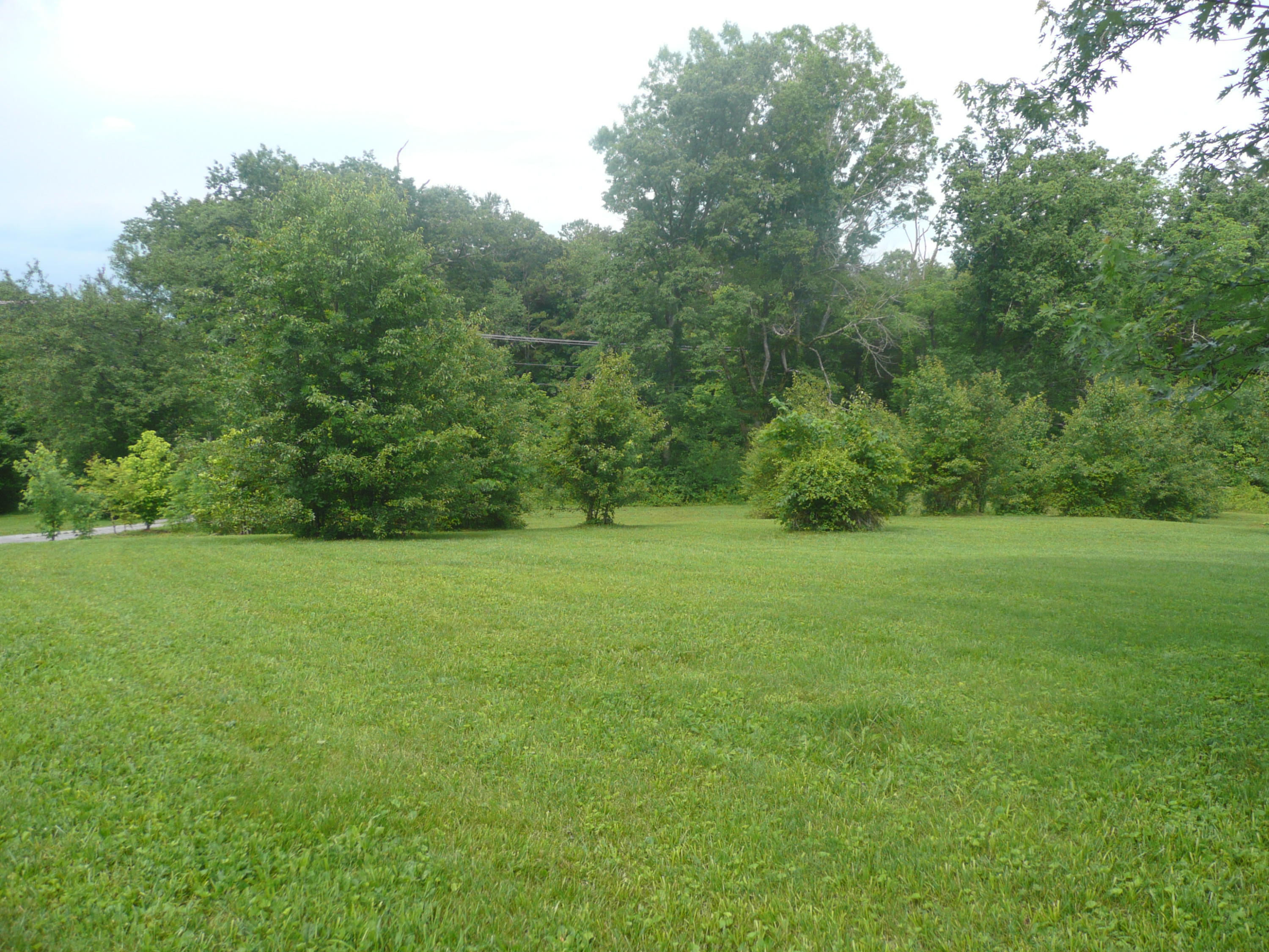 6025 Maloneyville Road Corryton, TN 37721 - Photo 23 of 24 7.07 ACRES!
