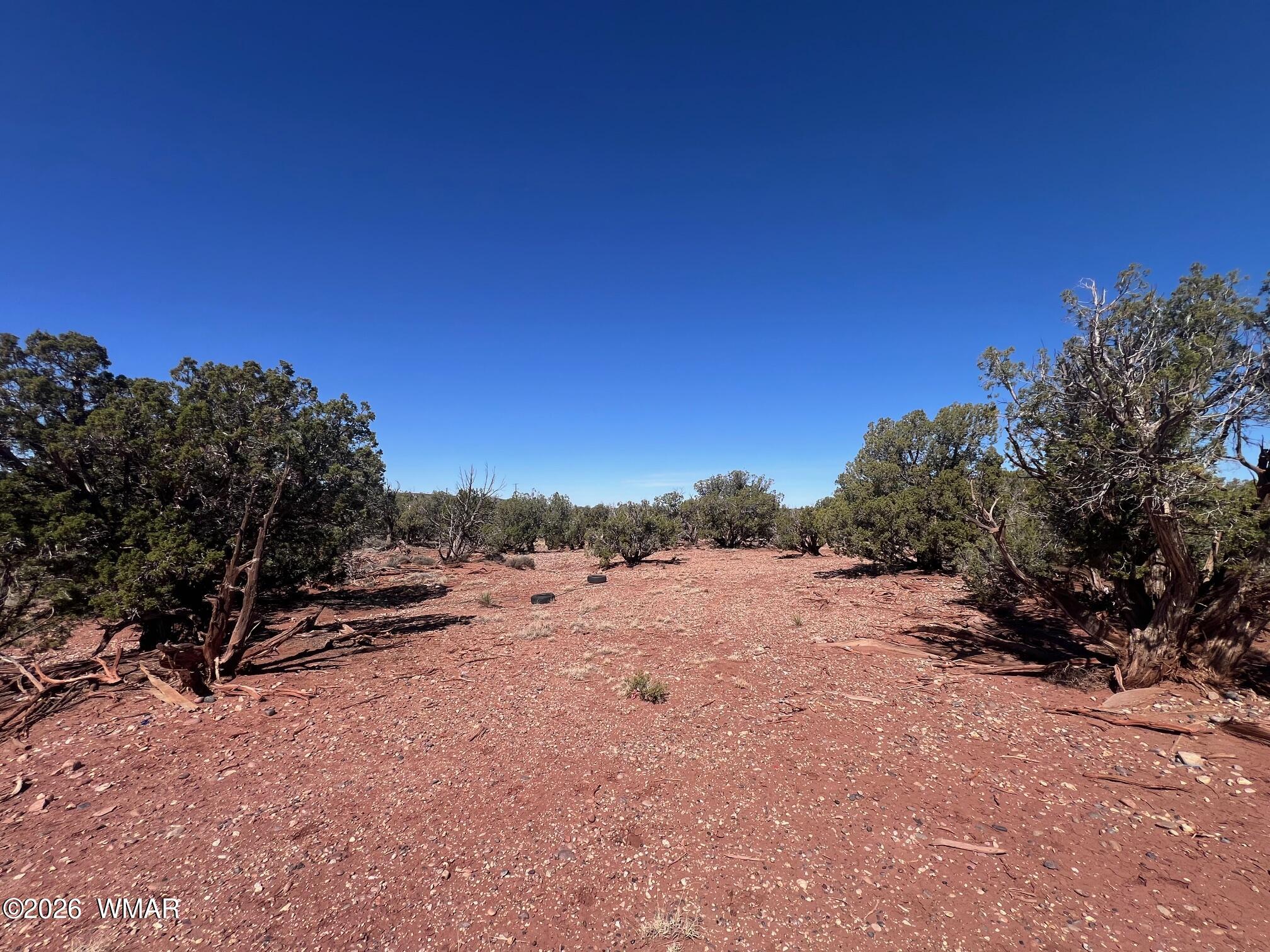 4252 Colt Road Snowflake, AZ 85937 - Photo 13 of 28