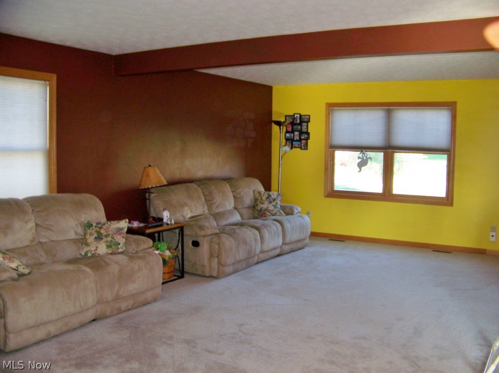 41 Cheyenne Drive Rittman, OH 44270 - Photo 3 of 13 Family room