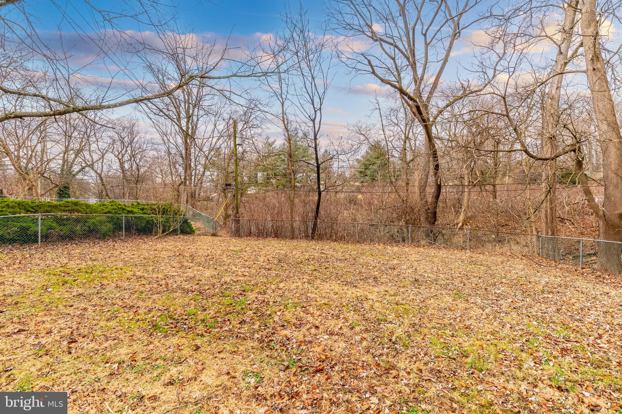 7814 Haines Road Cheltenham, PA 19012 - Photo 42 of 47 Yard