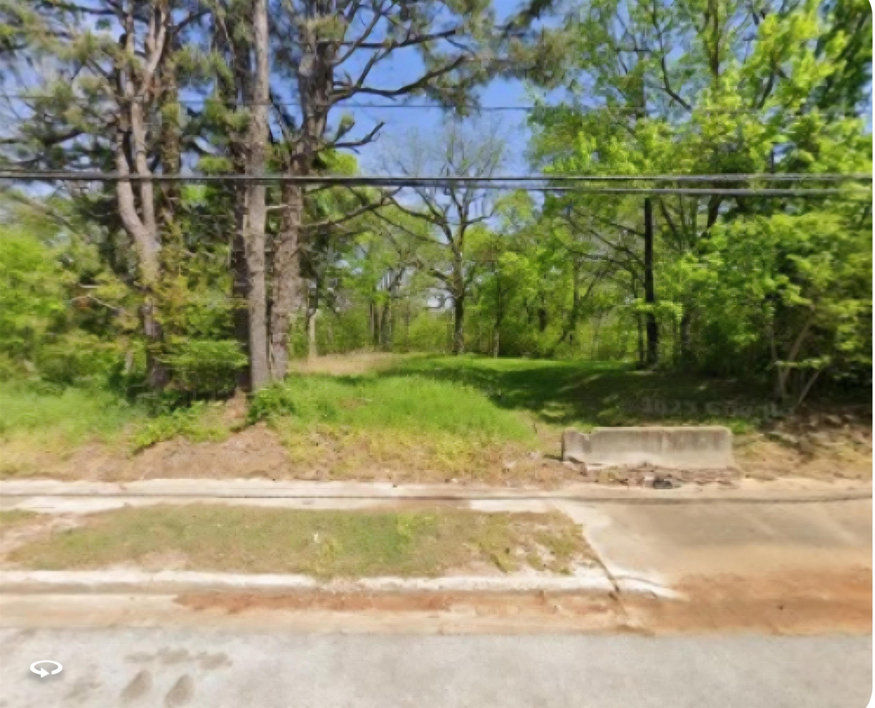 1036 Fields Road Memphis, TN 38109 - Photo 1 of 1 View of yard