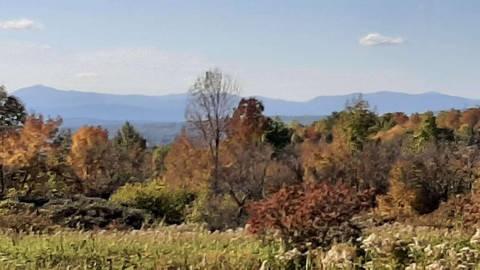 400 Applesauce Hill Road, Unit 4 Castleton, VT 05735 - Photo 1 of 12