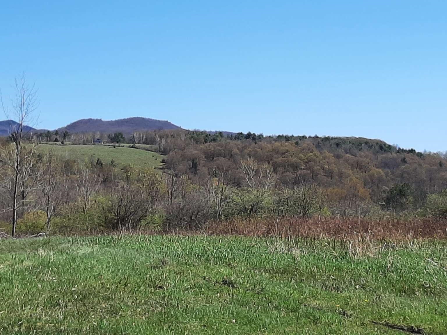 400 Applesauce Hill Road, Unit 4 Castleton, VT 05735 - Photo 4 of 12