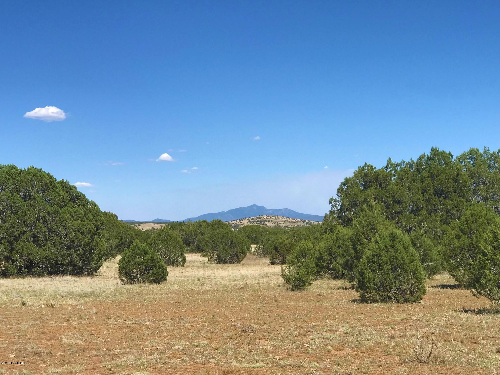 50 Off Of Mathis Road Williams, AZ 86046 - Photo 1 of 11 IMG_7525