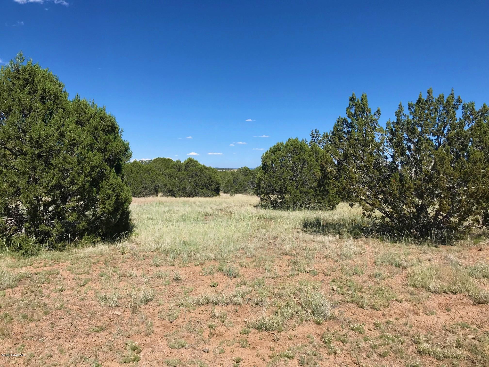 50 Off Of Mathis Road Williams, AZ 86046 - Photo 4 of 11 IMG_7527