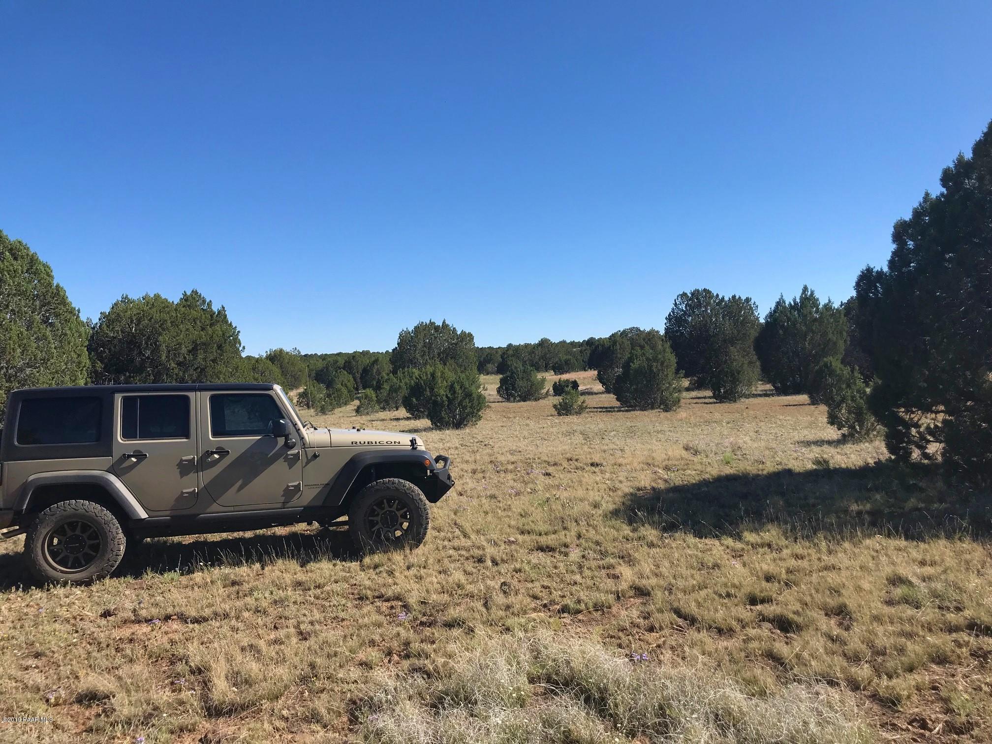 50 Off Of Mathis Road Williams, AZ 86046 - Photo 10 of 11 IMG_7533