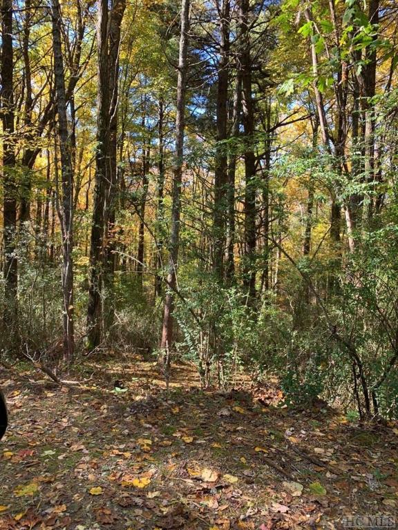 0 Satulah Road Highlands, NC 28741 - Photo 4 of 4 Gallery Image 4