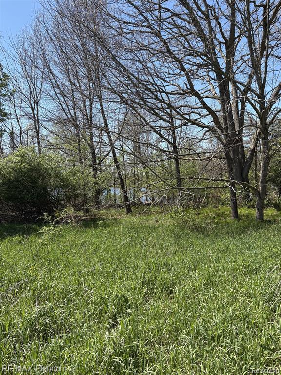 1 Edgemont Drive Drive Howell, MI 48855 - Photo 7 of 19