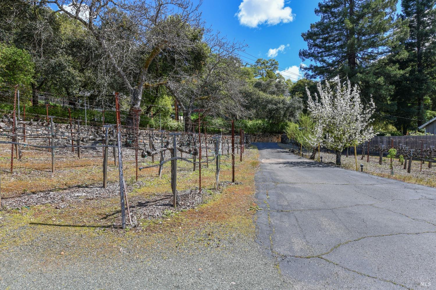 455 Glass Mountain Road St. Helena, CA 94574 - Photo 20 of 49