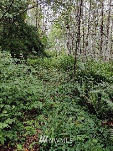 9999 Grant Road Port Angeles, WA 98363 - Photo 4 of 9 Gallery Image 4