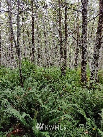 9999 Grant Road Port Angeles, WA 98363 - Photo 7 of 9 Gallery Image 7
