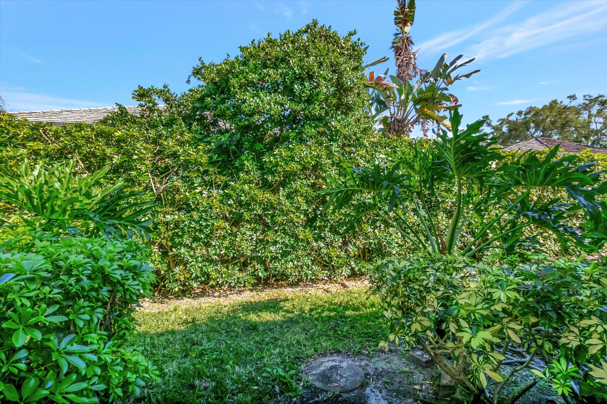 5612 Cambridge Boulevard Boca Raton, FL 33496 - Photo 30 of 85 31-web-or-mls-DSC_2064