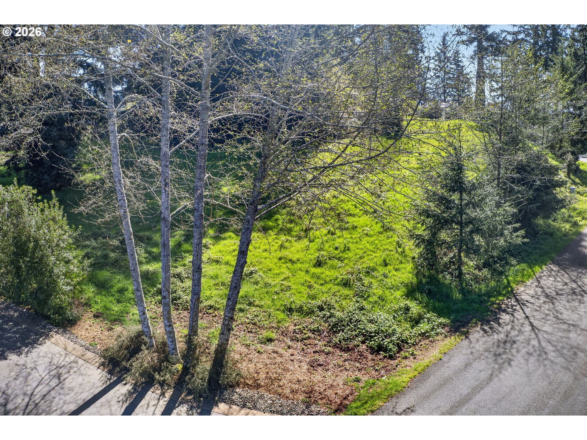 34775 Bay Loop Road Nehalem, OR 97131 - Photo 4 of 10 a view of outdoor space and yard