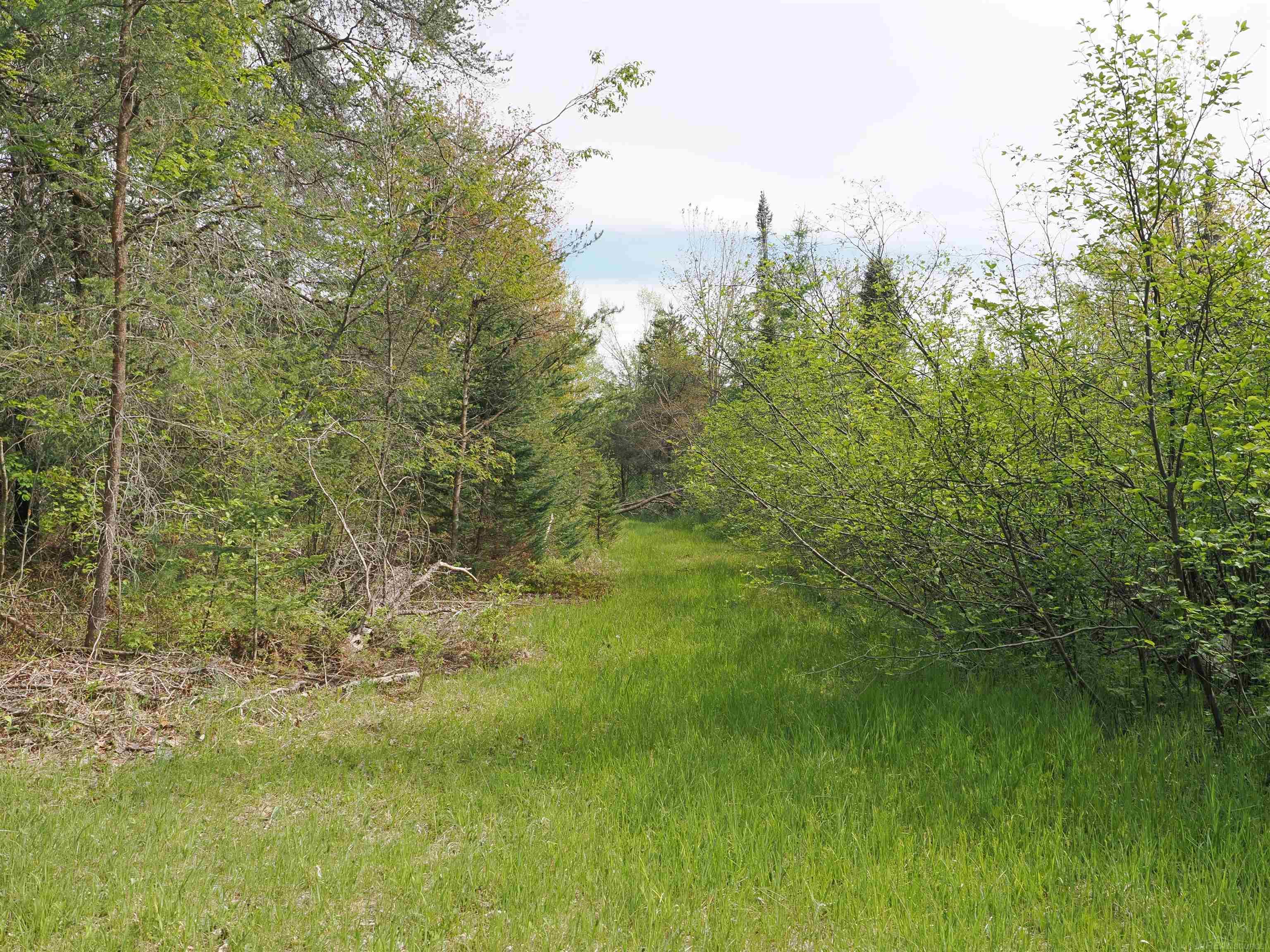 4011 Sandall Road Alpena, MI 49707 - Photo 53 of 73
