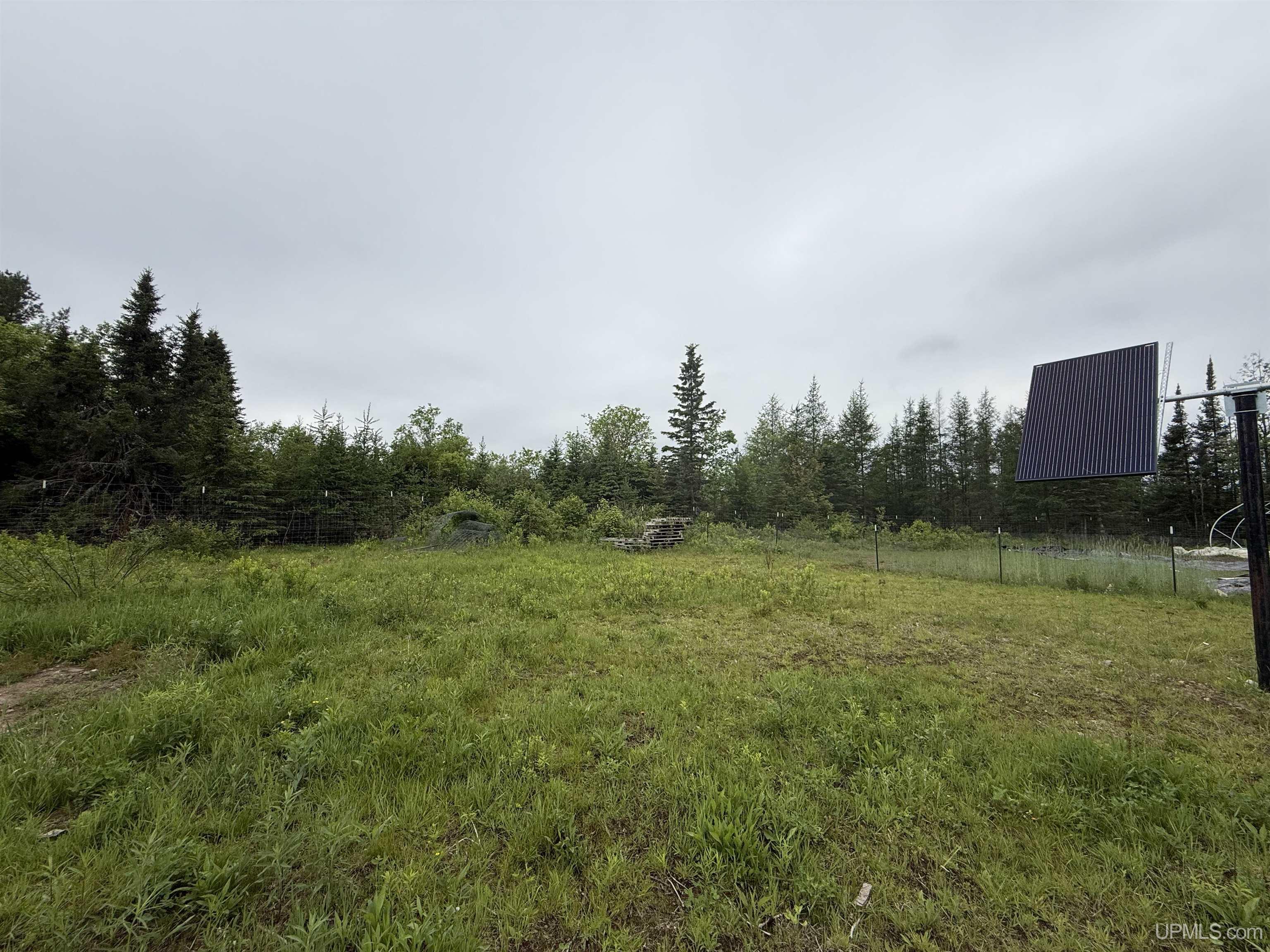 9535 Walstroms Road Republic, MI 49879 - Photo 16 of 37