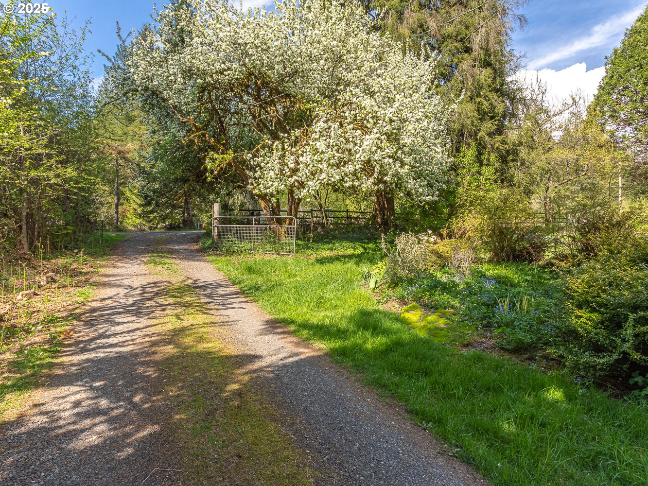 50010 Southeast Coalman Road Sandy, OR 97055 - Photo 2 of 48 a view of a lake view with a garden