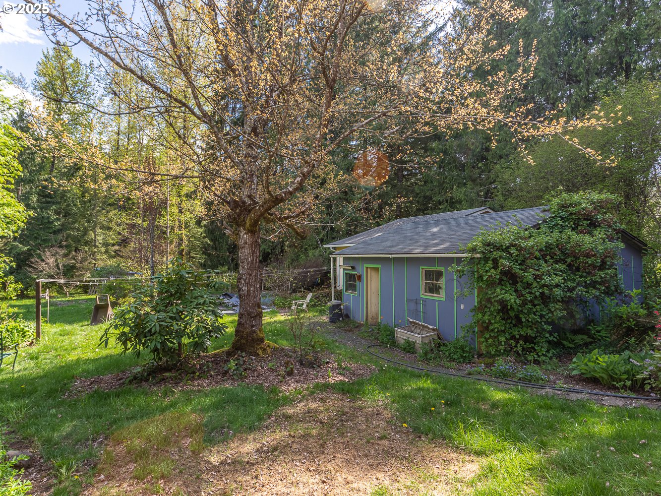 50010 Southeast Coalman Road Sandy, OR 97055 - Photo 36 of 48 a backyard of a house with plants and large trees