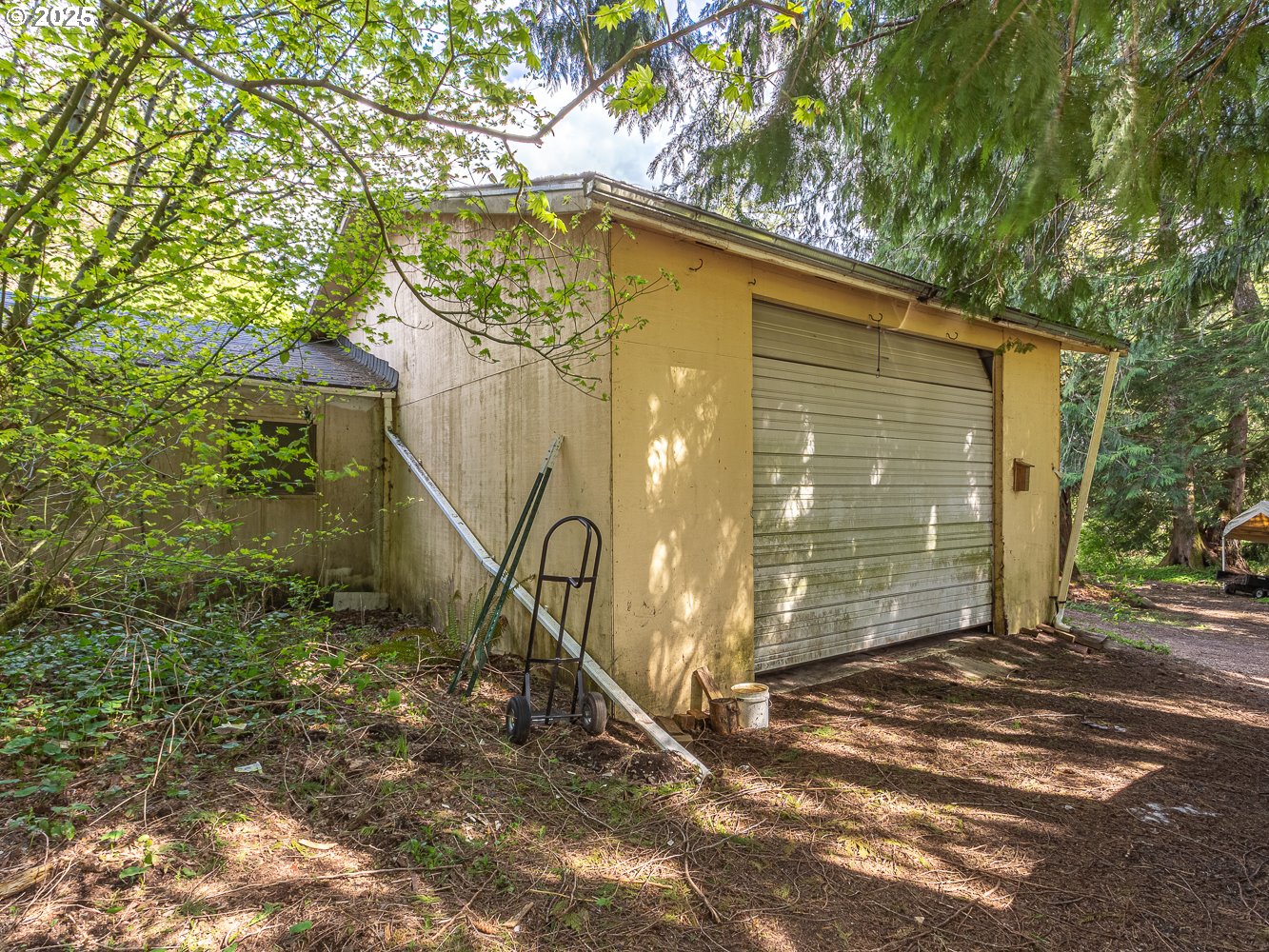 50010 Southeast Coalman Road Sandy, OR 97055 - Photo 38 of 48 a backyard of a house with large trees and a wooden fence