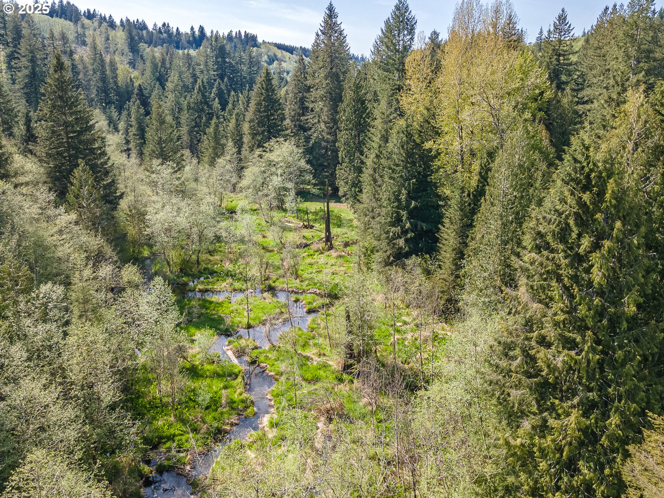 50010 Southeast Coalman Road Sandy, OR 97055 - Photo 41 of 48 a view of a forest with trees in the background