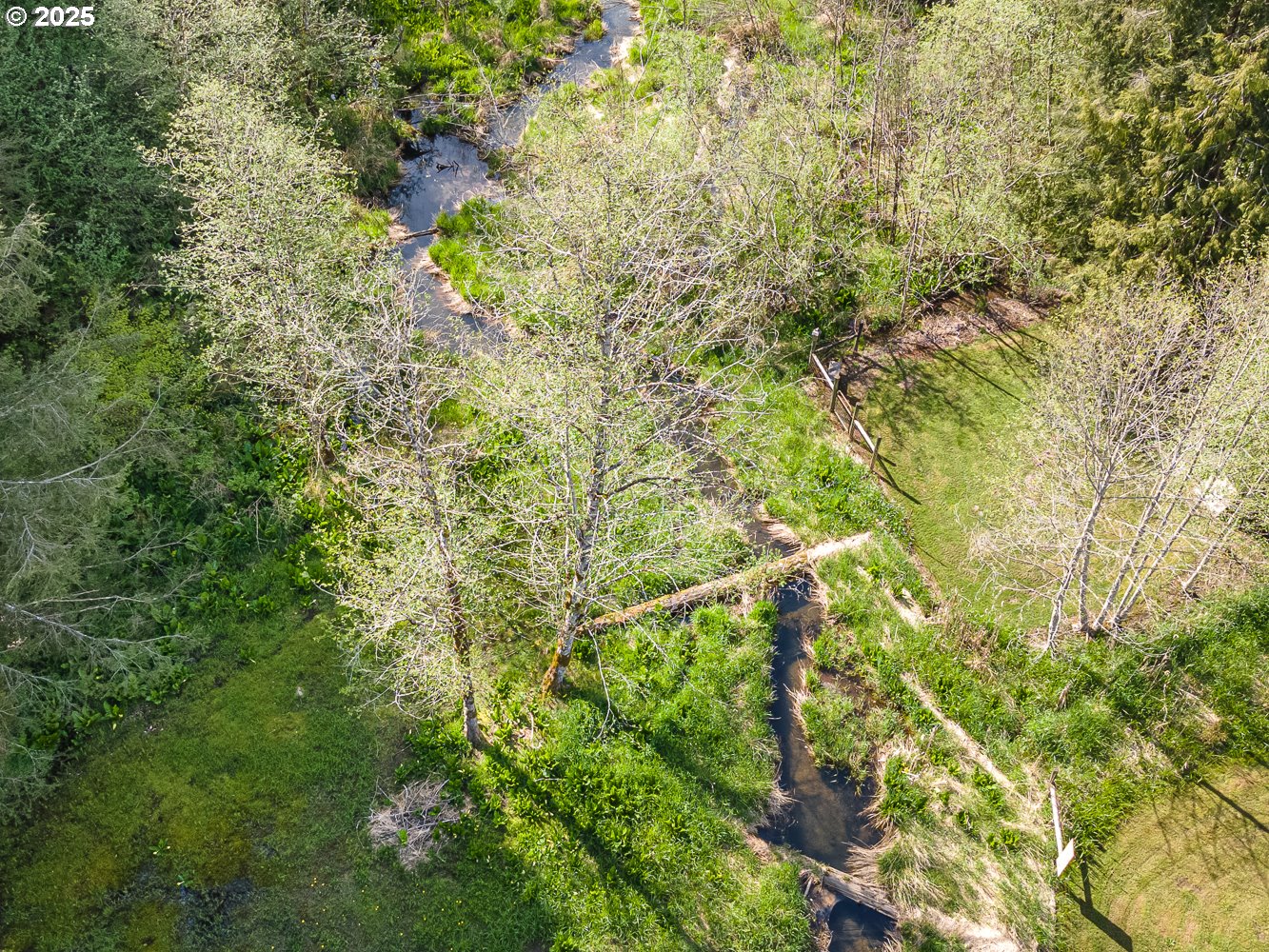 50010 Southeast Coalman Road Sandy, OR 97055 - Photo 42 of 48 a backyard of a house with lots of trees
