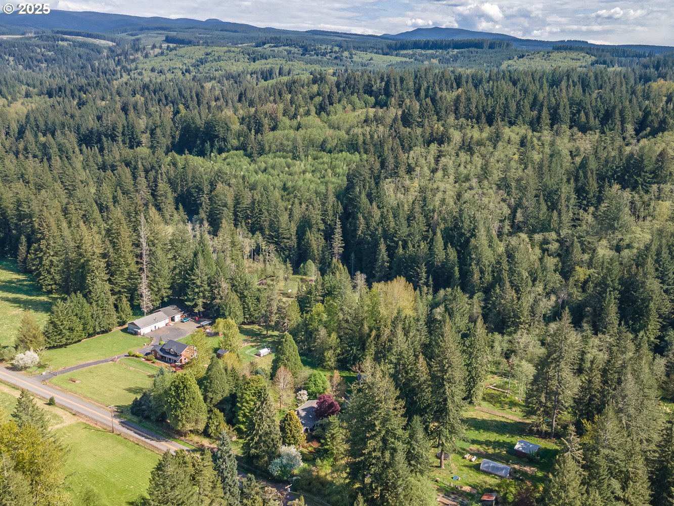 50010 Southeast Coalman Road Sandy, OR 97055 - Photo 45 of 48 a view of a lush green forest with trees