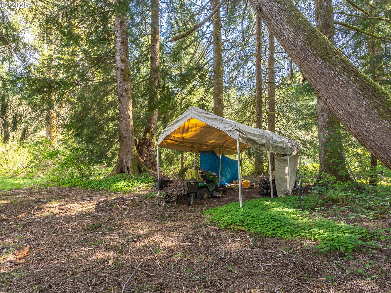 50010 Southeast Coalman Road Sandy, OR 97055 - Photo 47 of 48 a backyard of a house with barbeque oven table and chairs