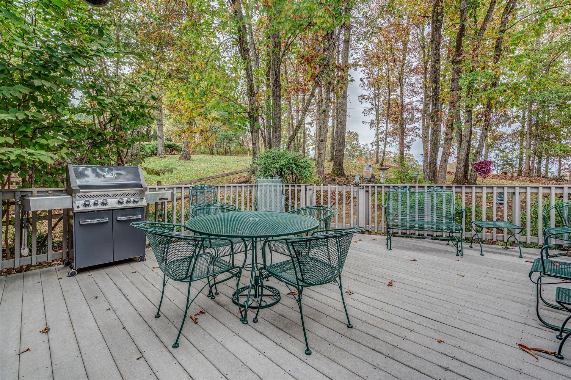 5236 Sundance Road Salem, VA 24153 - Photo 16 of 58 16-DSC4351_2_3_4_5