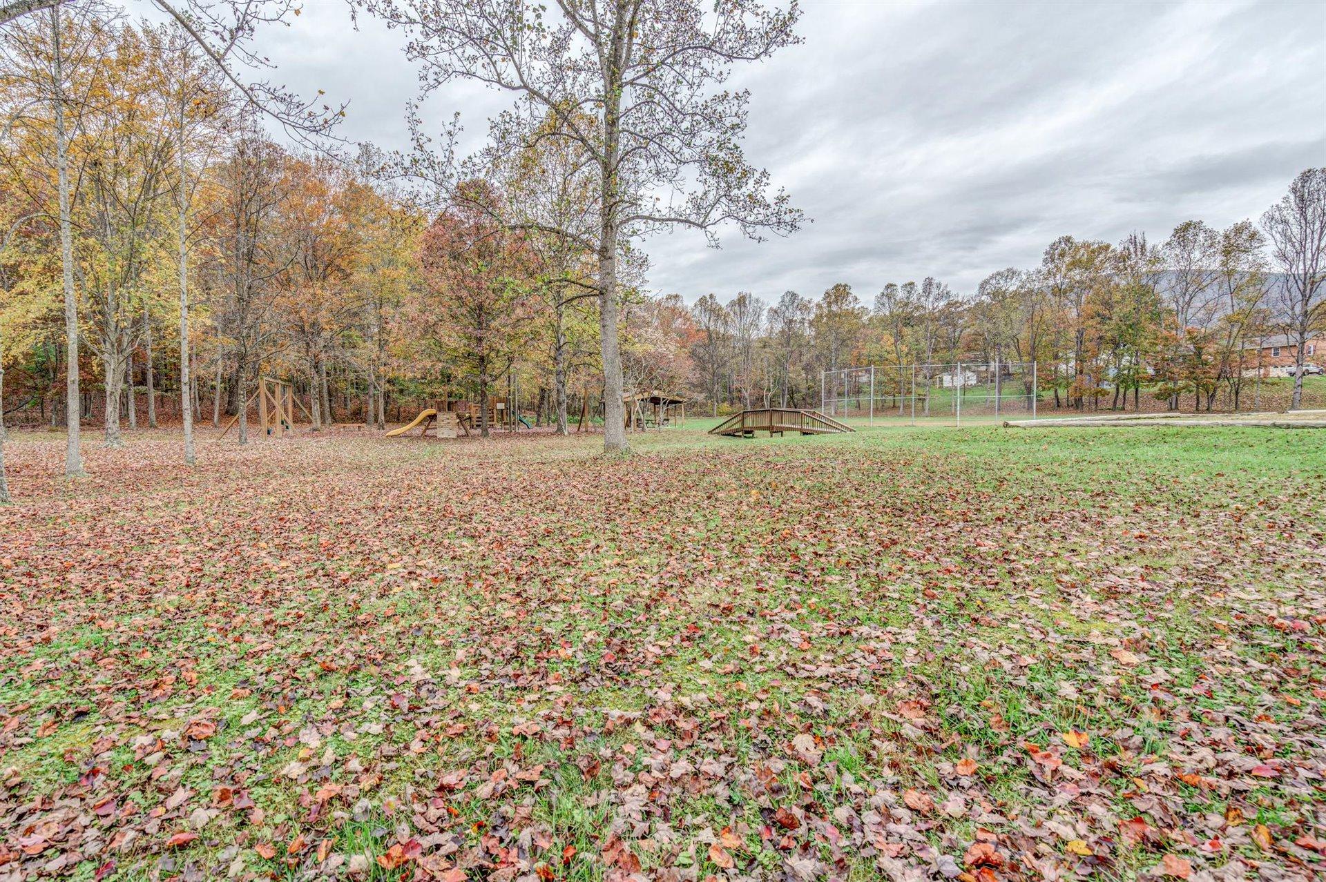 5236 Sundance Road Salem, VA 24153 - Photo 52 of 58 52-DSC4556_57_58_59_60
