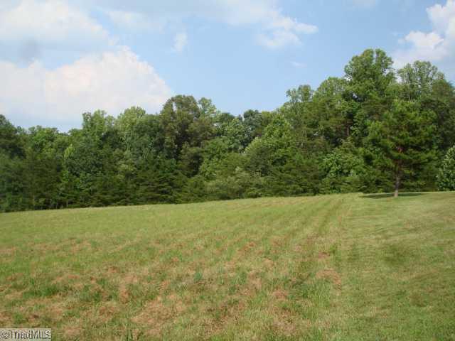 954 Carson Road Pilot Mountain, NC 27041 - Photo 15 of 16 Other. Pasture area