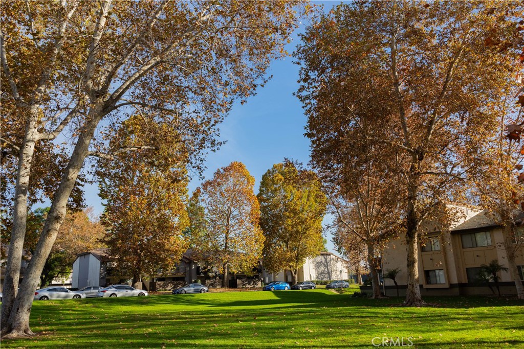 1219 Edwards Street, Unit 33 Redlands, CA 92374 - Photo 47 of 55 a huge green field with lots of trees