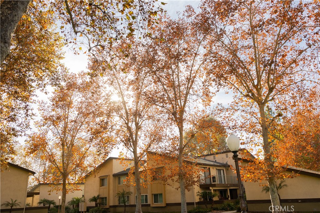 1219 Edwards Street, Unit 33 Redlands, CA 92374 - Photo 52 of 55