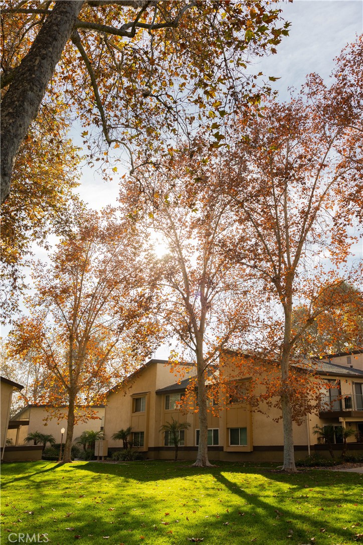 1219 Edwards Street, Unit 33 Redlands, CA 92374 - Photo 53 of 55 a front view of a building with trees in the background