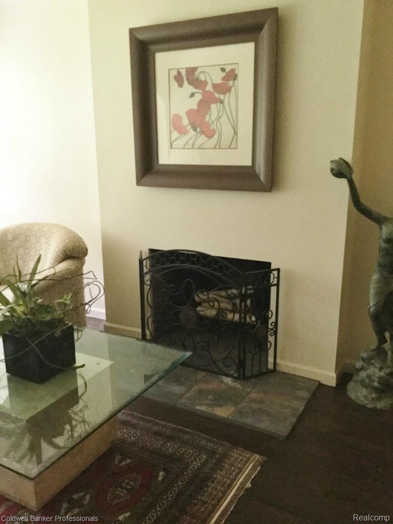 25451 Farmbrook Road Southfield, MI 48034 - Photo 13 of 29 Natural Fireplace to shase the chill.jpg