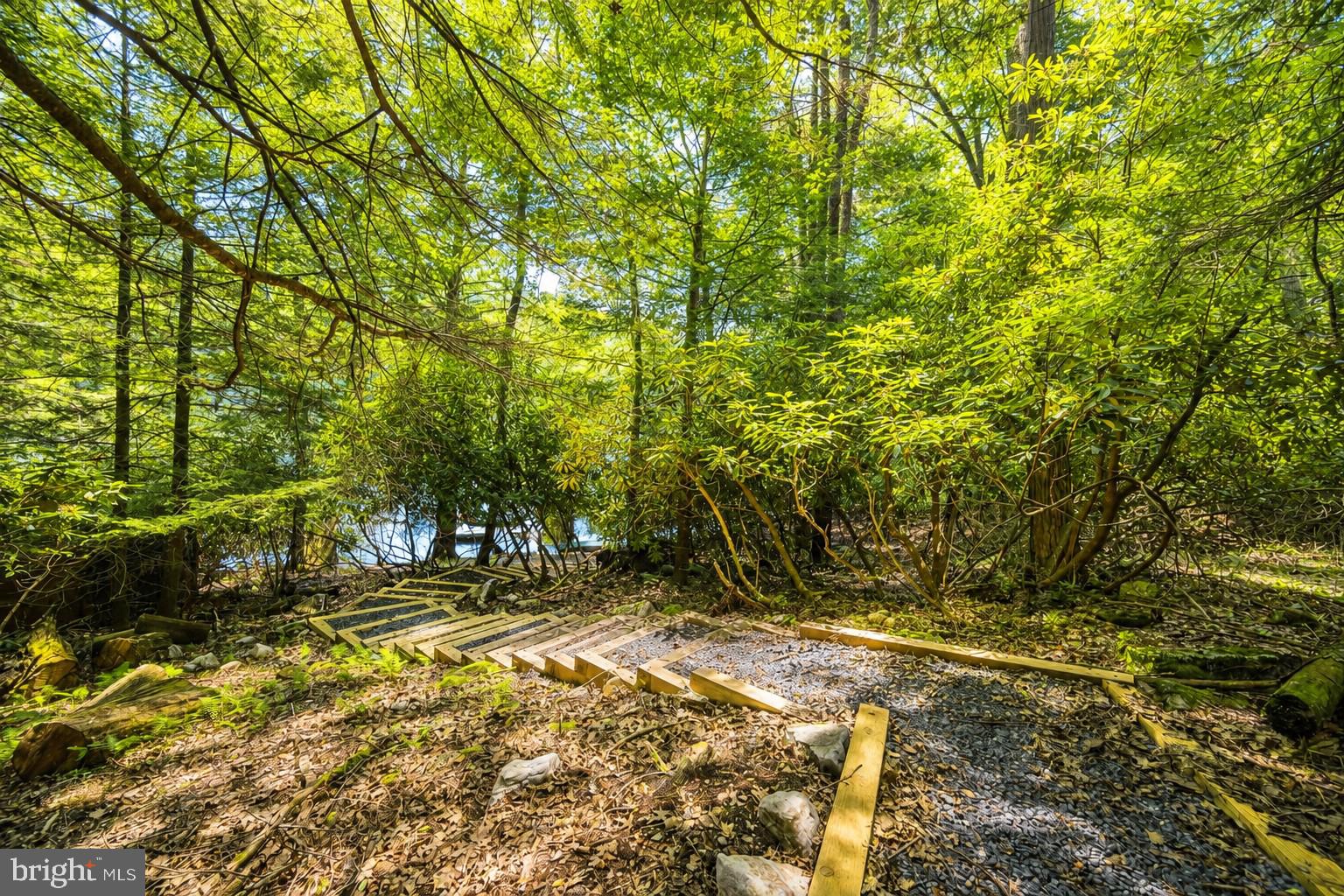 2153 Rock Lodge Road McHenry, MD 21541 - Photo 3 of 80 Serene path through lush greenery.